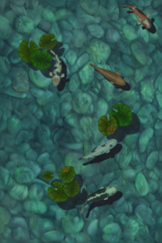 Koi Pond App Koi Pond App