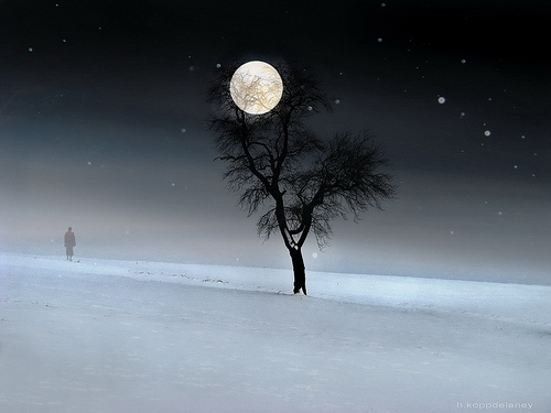 snowfall moon silence